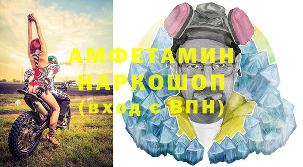 a pvp Новозыбков