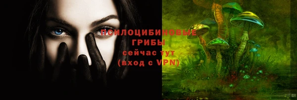 a pvp Новозыбков
