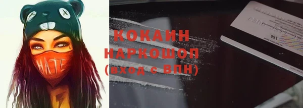a pvp Новозыбков