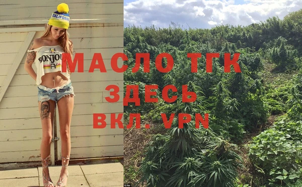 a pvp Новозыбков