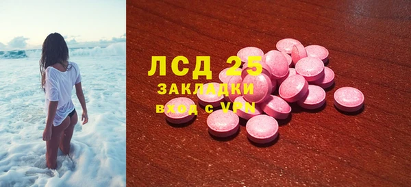 a pvp Новозыбков