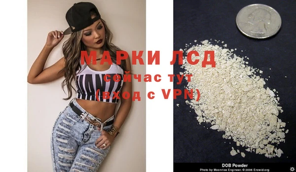 a pvp Новозыбков