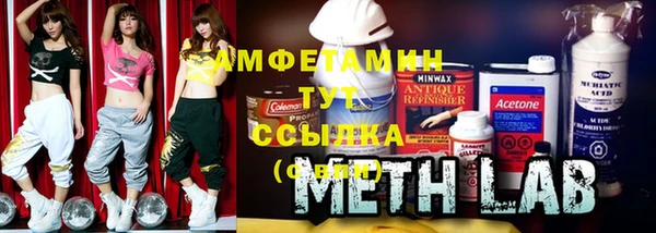 прущая мука Вяземский