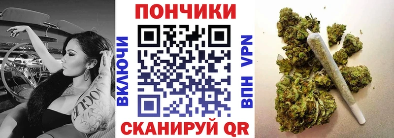 Шишки марихуана конопля  Чехов 
